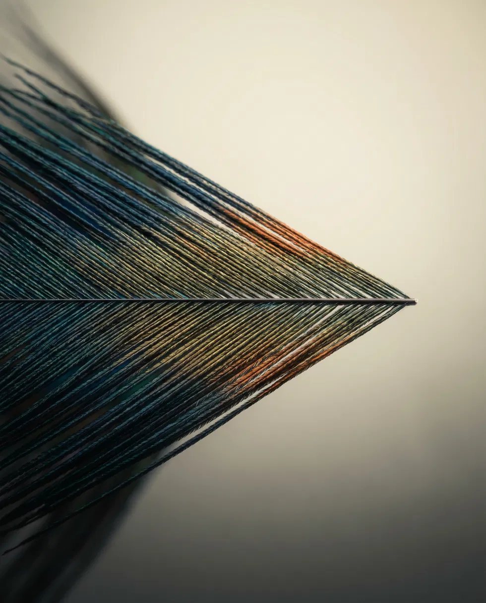 A peacock feather — the brand motif for executive alignment